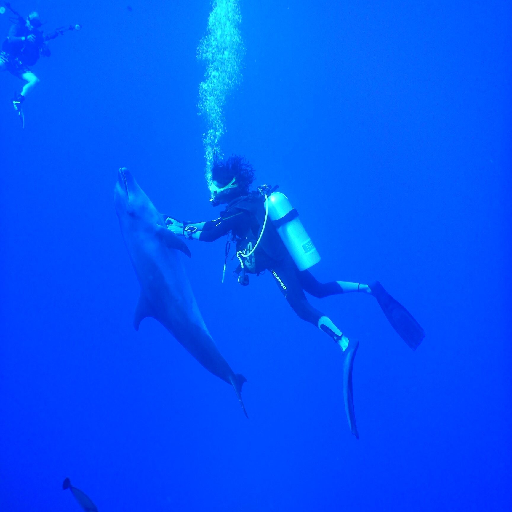 Diving around Tahitian Islands